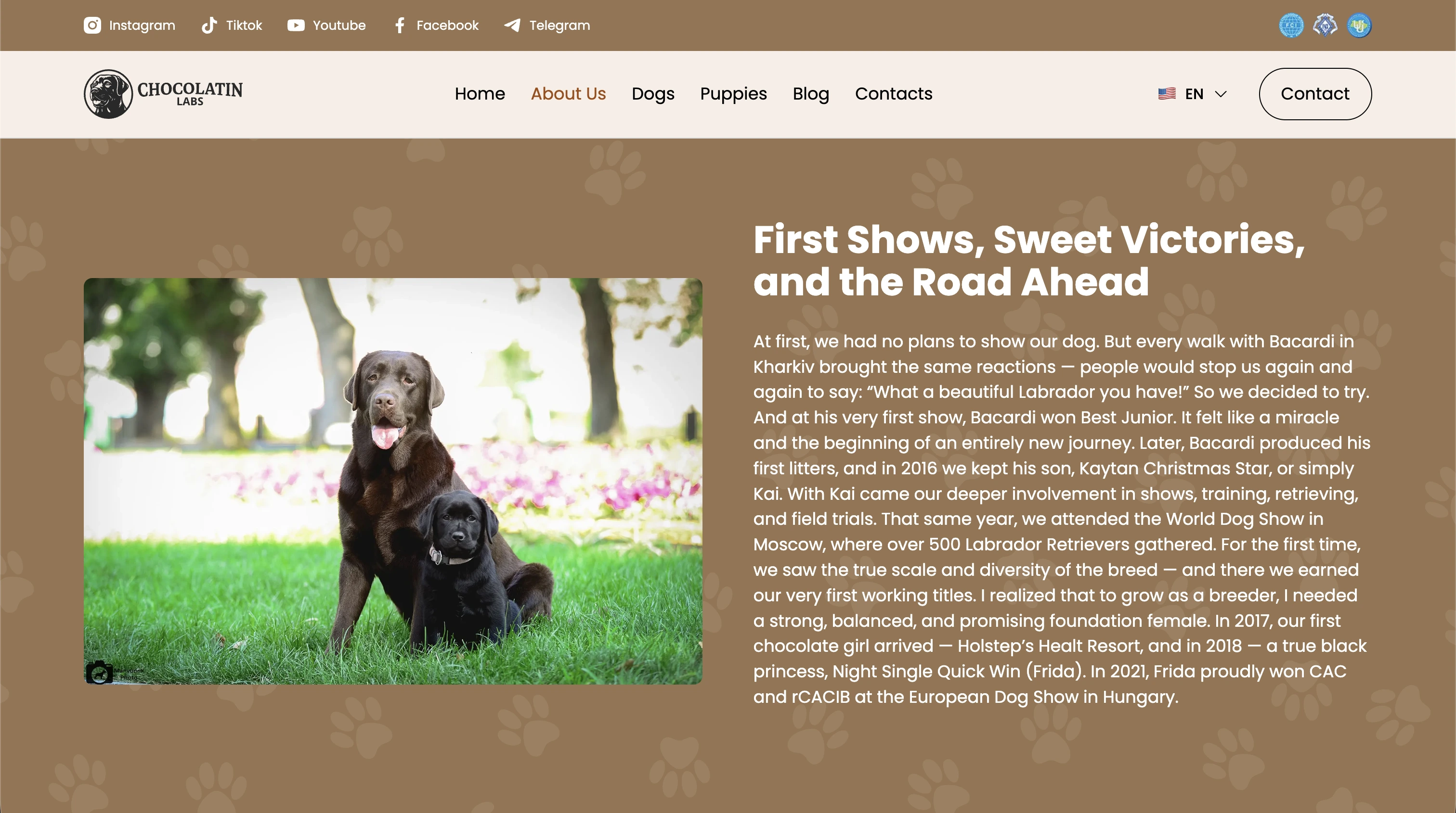 Chocolatin Labs screenshot 3